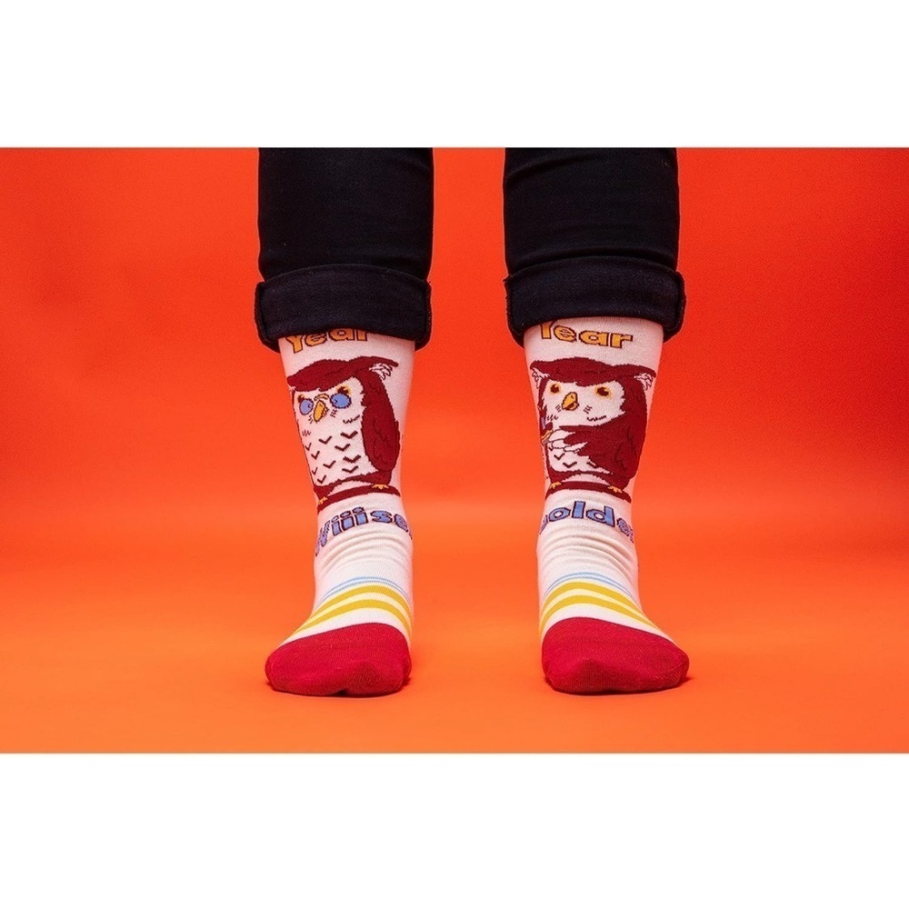 BooSocki Older Wiser Owl 🦉 Socks, Multi, Medium, NWT